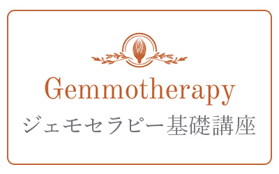 gemmotherapy基礎講座